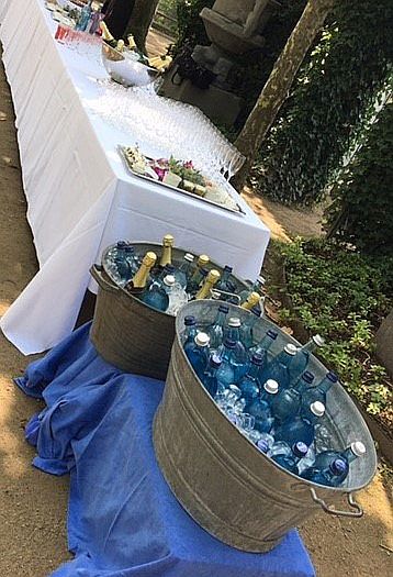 partyservice catering darmstadt sektempfang mathildenhoehe mit zinkwanne